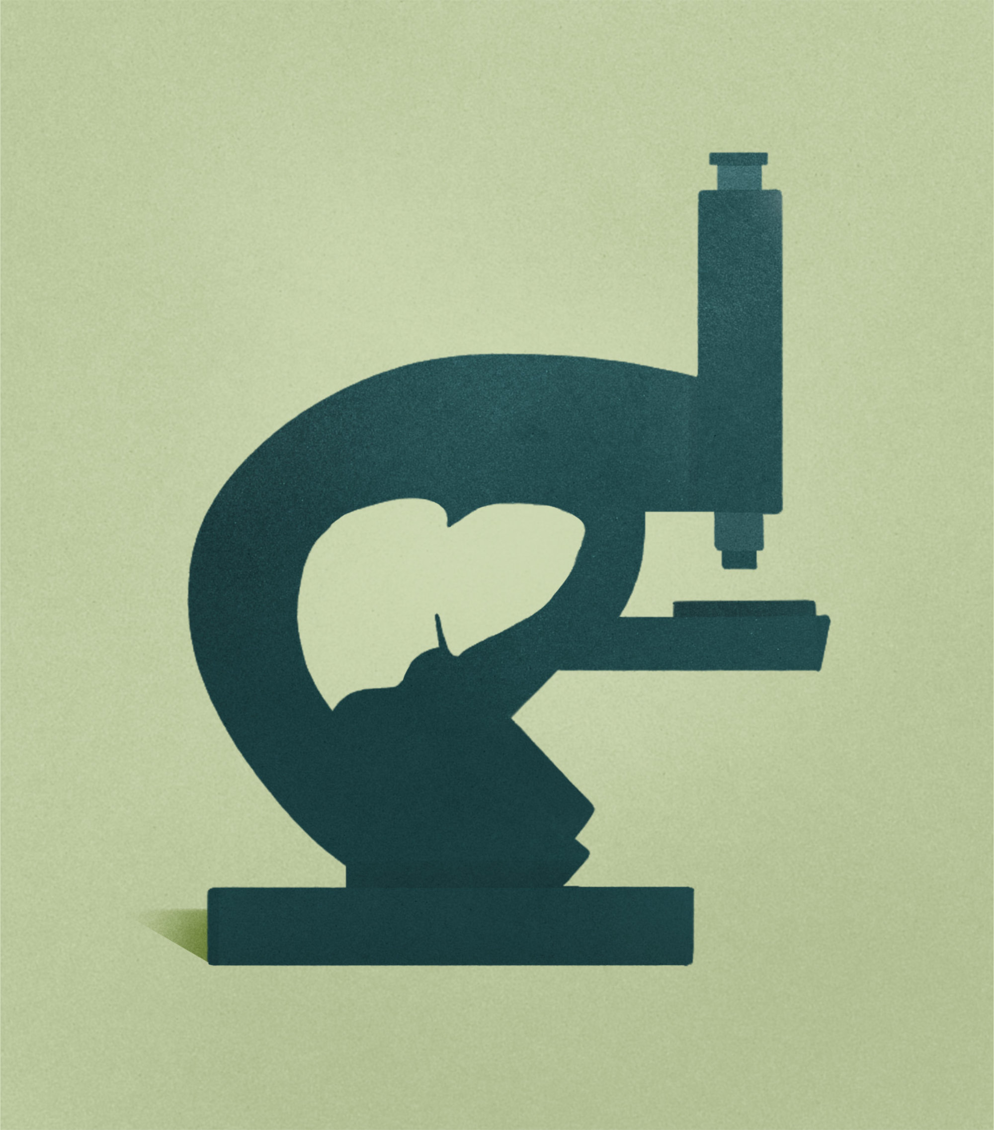 Illustration of microscope