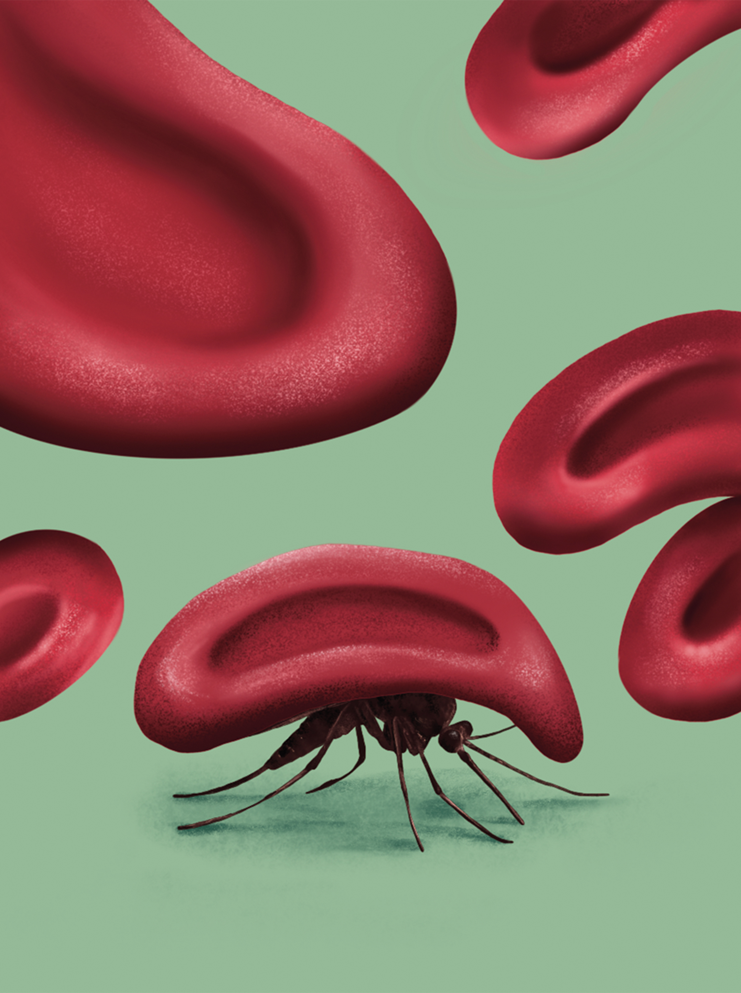 Conceptual illustration representing malaria’s ability to hide