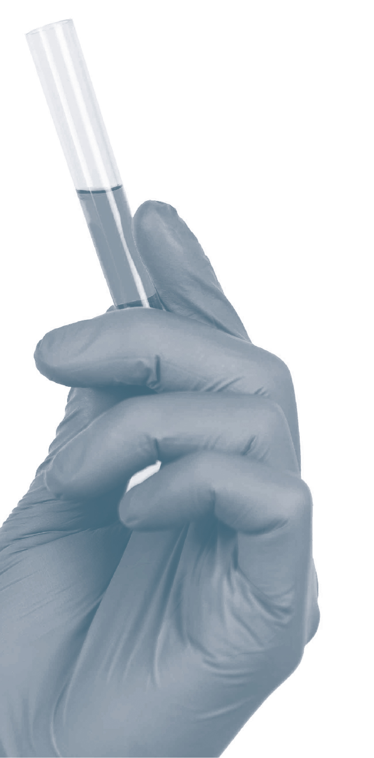 Gloved hand holding blood collection tube