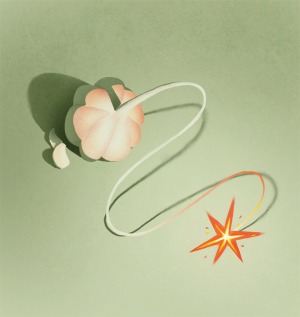 Illustration of garlic bulb and star