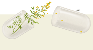 Conceptual illustration of plant inside of open pill capsule with mosquito crawling atop opposite capsule.