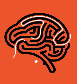 Illustration of maze-like brain in black, with neural circuits in white and white embryo below, all on dark orange background.